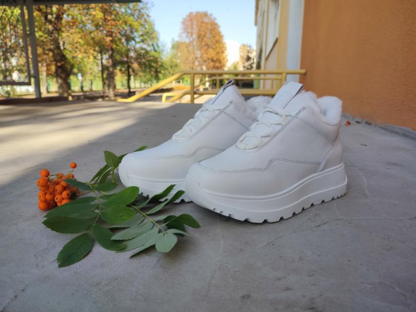 изображение_viber_2023-09-26_17-50-50-343